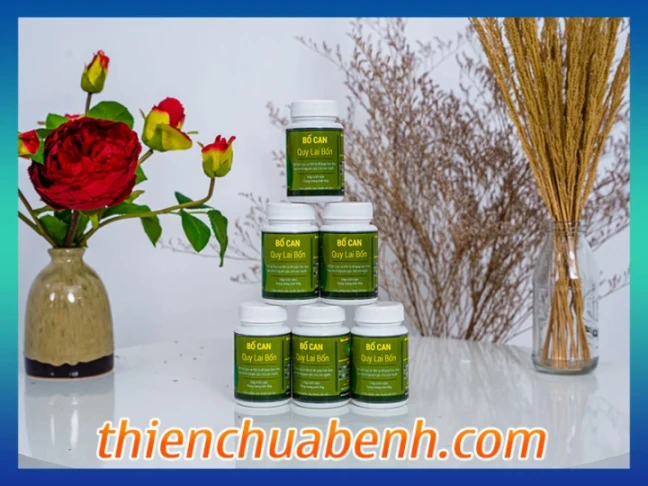 Hỗ trợ điều trị các bệnh về gan