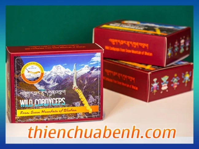 Đông trùng hạ thảo