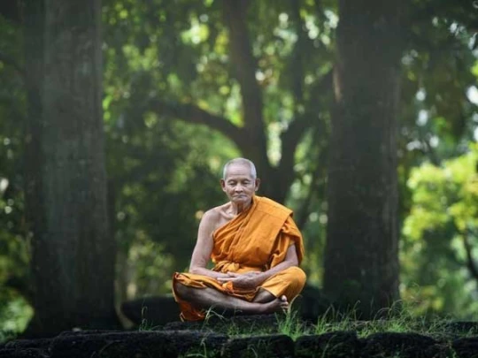 Tại sao phải tu Thiền?